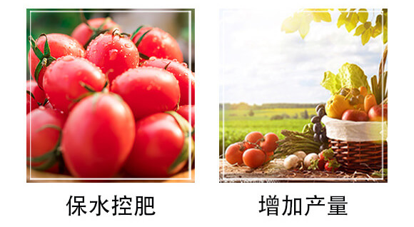 꿾�-�����S_04