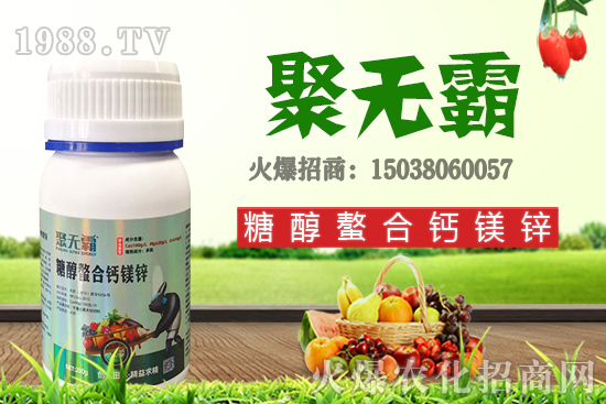 沙糖桔苗多少錢一棵?沙糖桔什么時候結(jié)果?栽培要點有哪些?