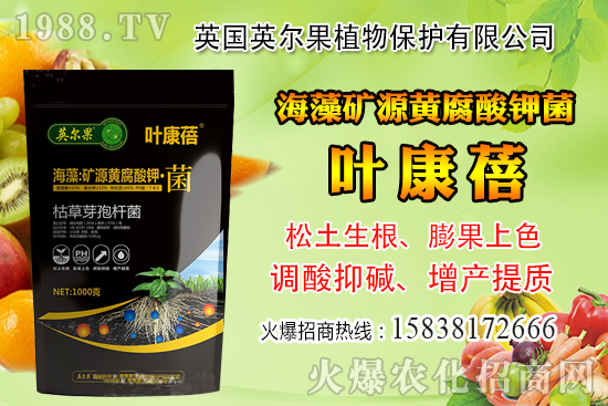 怎么判斷玉米含水量?玉米籽粒含水量感官判定經(jīng)驗!