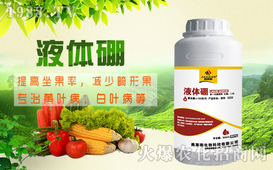 棉花缺硼危害究竟有多大，棉花缺硼癥狀及硼肥施用技術(shù)！