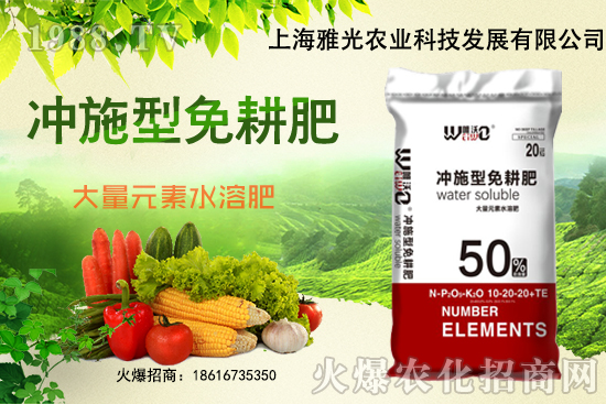 白菜一畝地需要多少肥料,白菜施肥過(guò)后需立即澆水嗎?