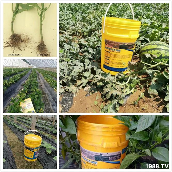 水溶肥市場(chǎng)大變革！？海藻精、魚(yú)蛋白將被它代替！1000多用戶鼎力推薦！