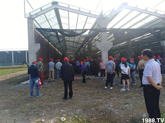 水溶肥市場(chǎng)大變革?。亢Ｔ寰?、魚(yú)蛋白將被它代替！1000多用戶鼎力推薦！