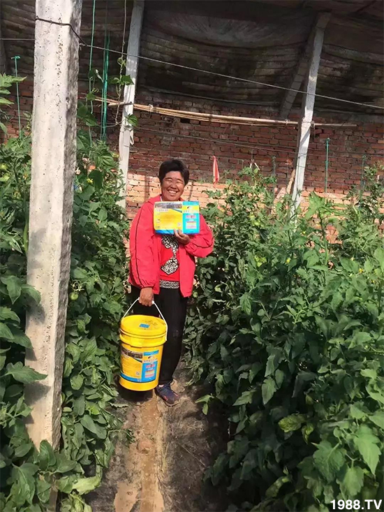 水溶肥市場(chǎng)大變革?。亢Ｔ寰?、魚(yú)蛋白將被它代替！1000多用戶鼎力推薦！