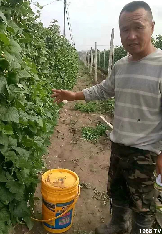 水溶肥市場(chǎng)大變革??？海藻精、魚(yú)蛋白將被它代替！1000多用戶鼎力推薦！