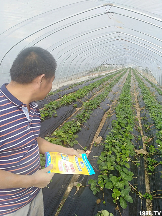 水溶肥市場(chǎng)大變革！？海藻精、魚(yú)蛋白將被它代替！1000多用戶鼎力推薦！