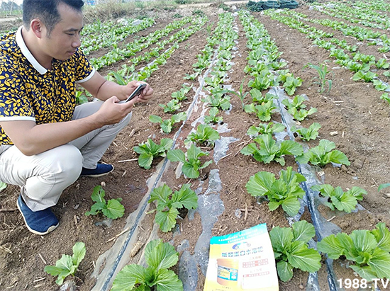 水溶肥市場(chǎng)大變革?。亢Ｔ寰?、魚(yú)蛋白將被它代替！1000多用戶鼎力推薦！