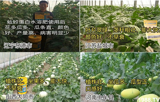 水溶肥市場(chǎng)大變革??？海藻精、魚(yú)蛋白將被它代替！1000多用戶鼎力推薦！