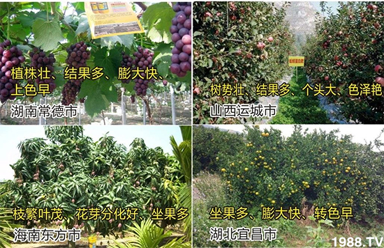 水溶肥市場(chǎng)大變革?。亢Ｔ寰?、魚(yú)蛋白將被它代替！1000多用戶鼎力推薦！