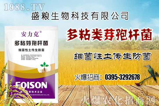 車(chē)?yán)遄臃N植環(huán)境要求有哪幾點(diǎn)？車(chē)?yán)遄恿挤N選擇及良種套種！