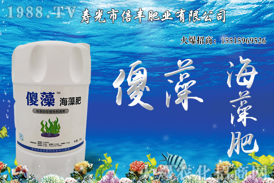 市場逐步回歸正?;久妫蠖箖r格沖高回落!