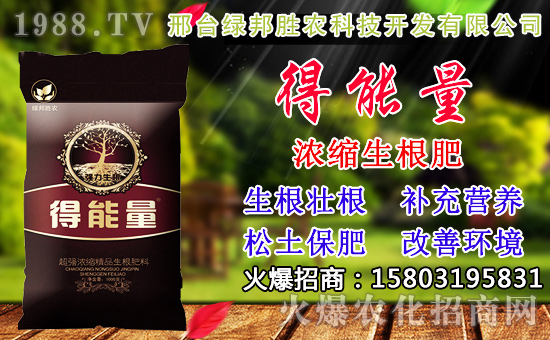 2020年小麥種子如何選？高產(chǎn)小麥品種有哪些？