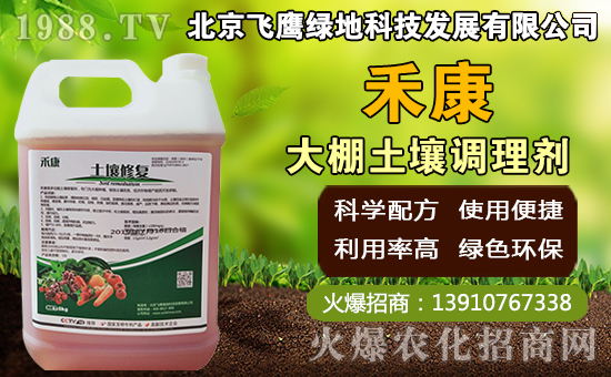 豬肚菇如何種植，豬肚菇栽培管理技術！