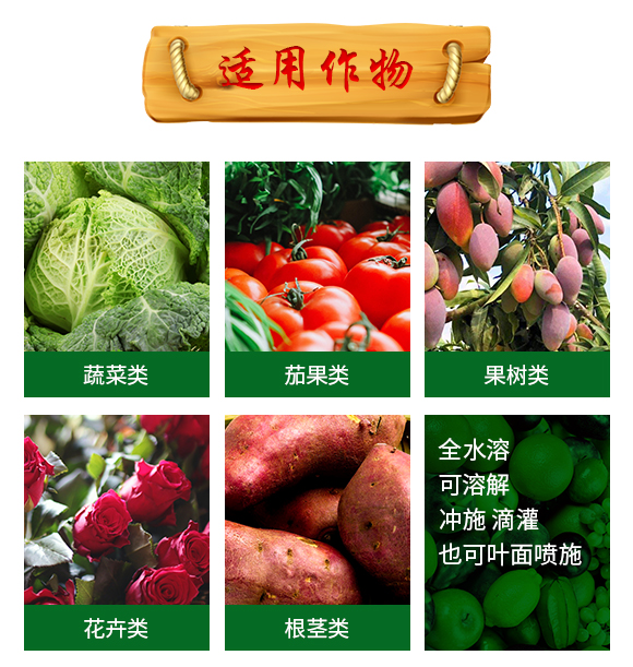 含生物刺激素大量元素水溶肥料12-8-40+TE-好施特_06