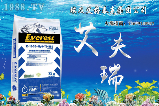 火龍果栽培要點有哪些？火龍果田間管理及病蟲害防治！