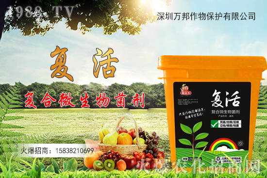 大棚油桃栽種后如何進行管理，有什么方法要點？