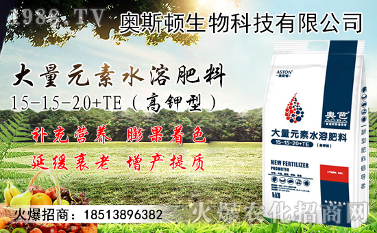 9月小麥市場行情預測!附近期小麥收購價格!