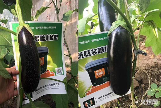 蔬菜水果生根肥料