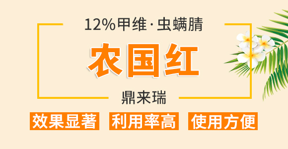 2%�׾S���x����-�r���t-������_01