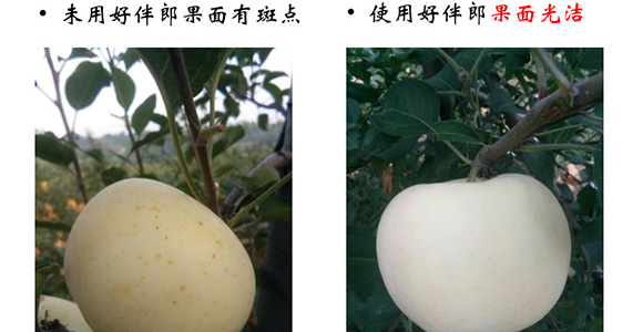 �ð���-�̩_15