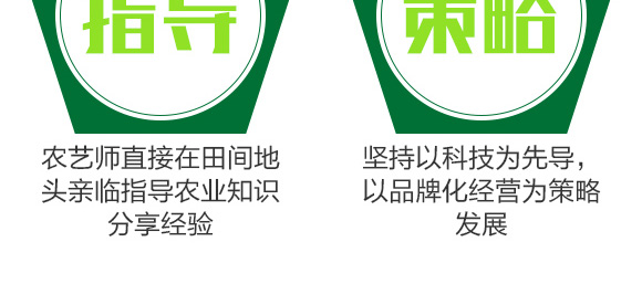 ����Ԫ��ˮ�ܷ�20-20-20+TE-һ����΢��-�̩_16