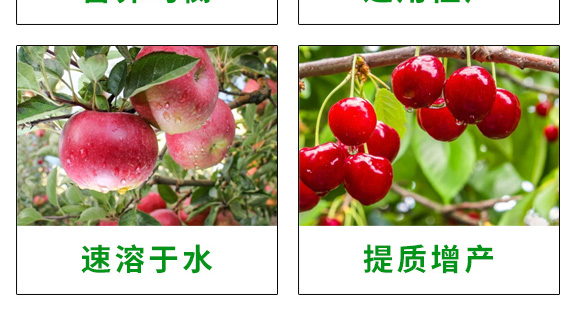 ����Ԫ��ˮ�ܷ�20-20-20+TE-һ����΢��-�̩_06