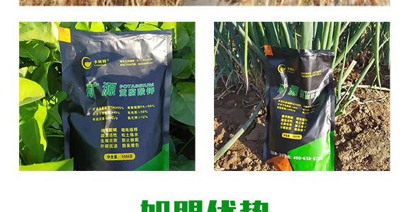 �VԴ�S�����-��ʩ��_12