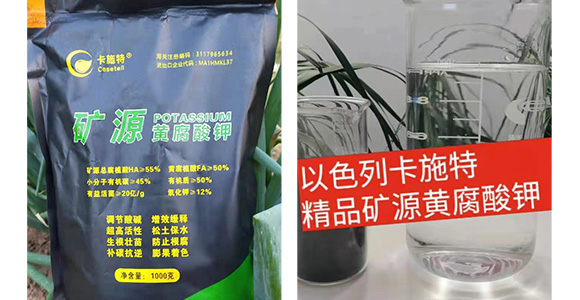 �VԴ�S�����-��ʩ��_10