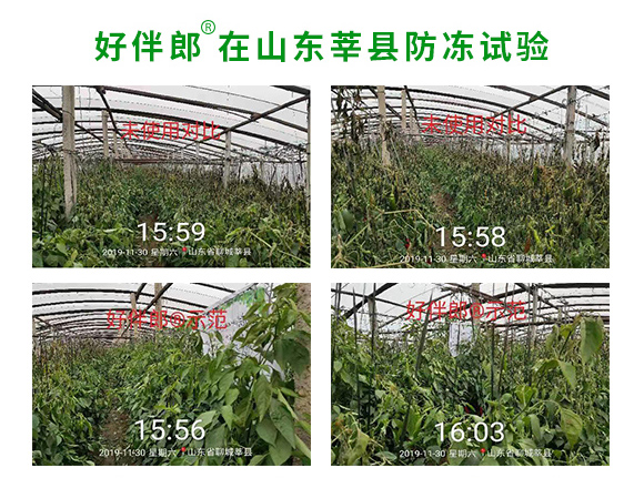 �ð���-�̩_10