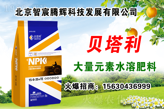 2020年種什么藥材能賺錢(qián)?種植藥材有補(bǔ)貼嗎?哪些藥材有種植前景?