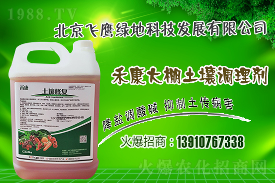 紫皮大蒜怎么種植？紫皮大蒜高產(chǎn)栽培技術(shù)！