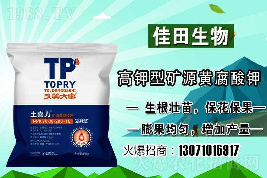 雪梨該怎樣種植？雪梨的種植時間和方法！