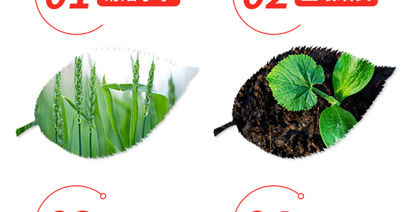 硝硫基大量元素水溶肥料20-20-20+TE-凱米拉-農(nóng)博肥業(yè)_04