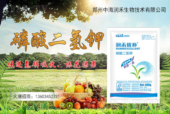 果樹一整年到底該怎么施肥？果樹施肥注意事項(xiàng)有哪些？