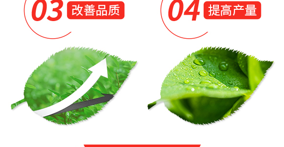 硝硫基大量元素水溶肥料20-20-20+TE-凱米拉-農(nóng)博肥業(yè)_05