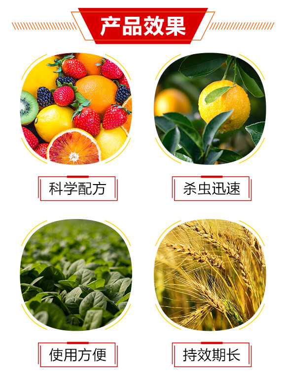 25克每升高效氯氟氰菊酯-今天凈-鑫正虹_03