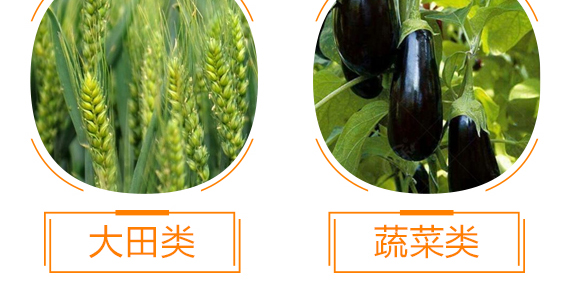 ��(qi��ng)����������-���r(n��ng)����(y��u)ؐ-���r(n��ng)����_11