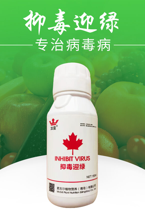 抑毒迎綠（專治病毒?。?綠肥_01