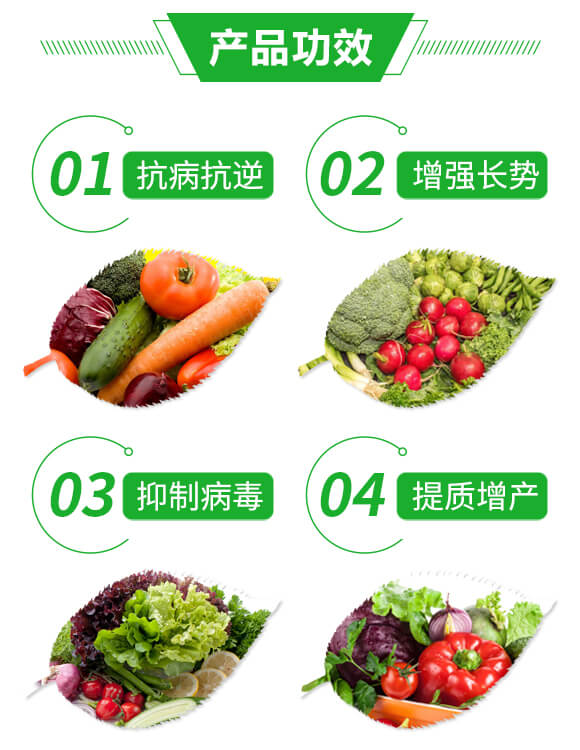 抑毒迎綠（專治病毒?。?綠肥_03