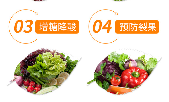 微生物菌劑-易豐根-易萊豐_06