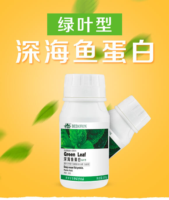 綠葉型深海魚(yú)蛋白-貝多豐_01