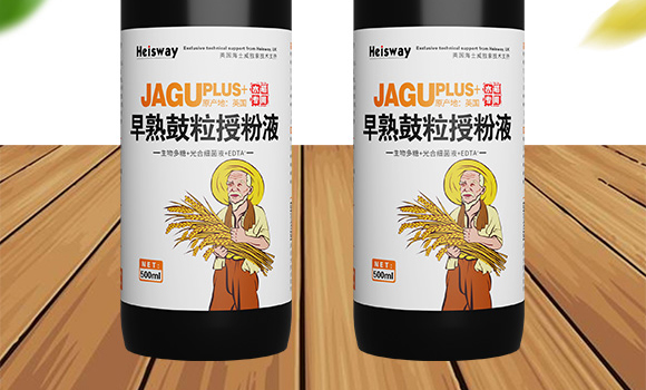 早熟鼓粒授粉液-實禾_02