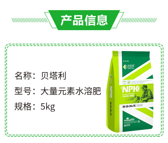 大量元素水溶肥料20-20-20+TE-貝塔利_02