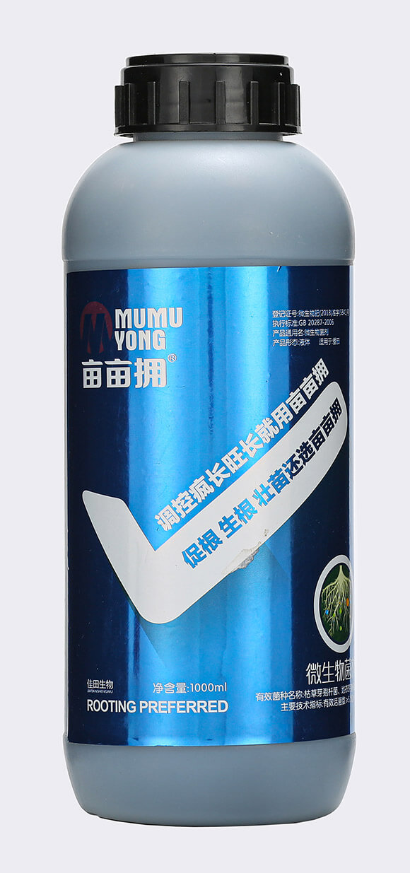 �_ʩ�����{(di��o)��-������-��������3