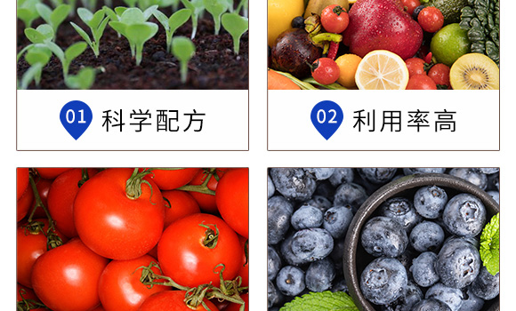 早熟鼓粒授粉液-實禾_05