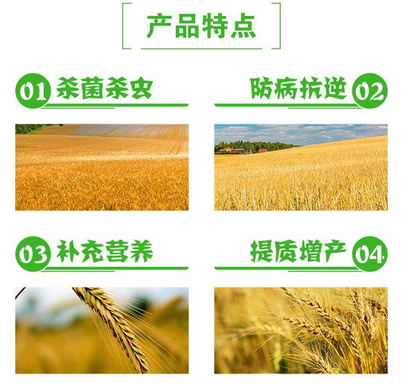 小麥高產(chǎn)套餐(五效合一)-粒粒豐-泰利爾_03