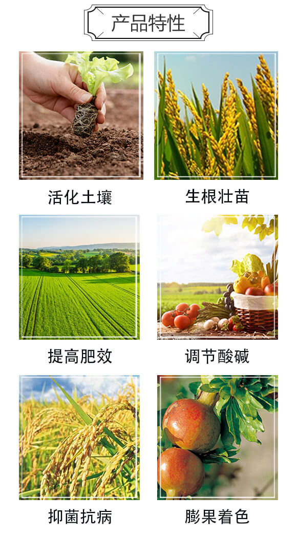 濃縮黃腐酸有機肥-黃腐酸大豆蛋白-啟力農業(yè)_03