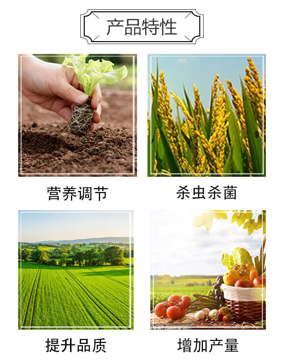 �V�Vͨ������߮a(ch��n)��Q����-�|����-���䌍�I(y��)_03