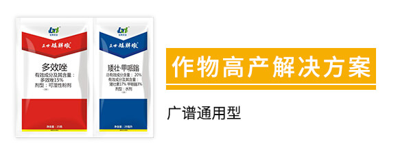 15%多效唑+20%矮壯·甲哌鎓-正世矮胖墩-寶典實(shí)業(yè)_02