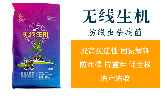 無線生機-三顆橘子_02